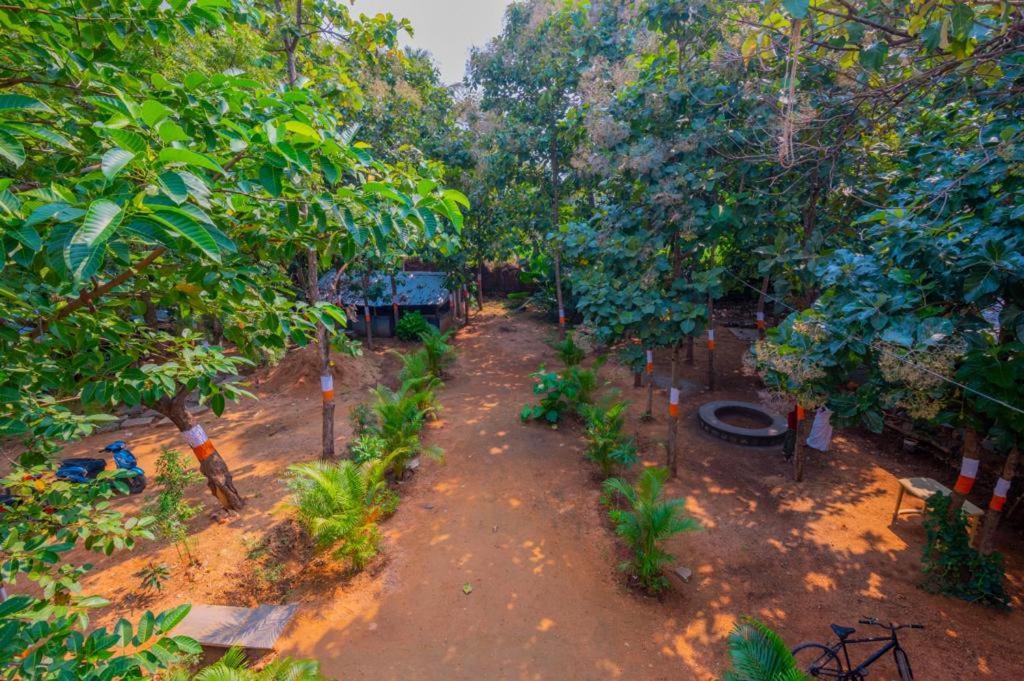 Saptami Hampi Homestay Exterior foto